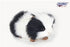 Hansa | Guinea Pig 20cm