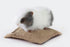 Hansa | Guinea Pig 20cm
