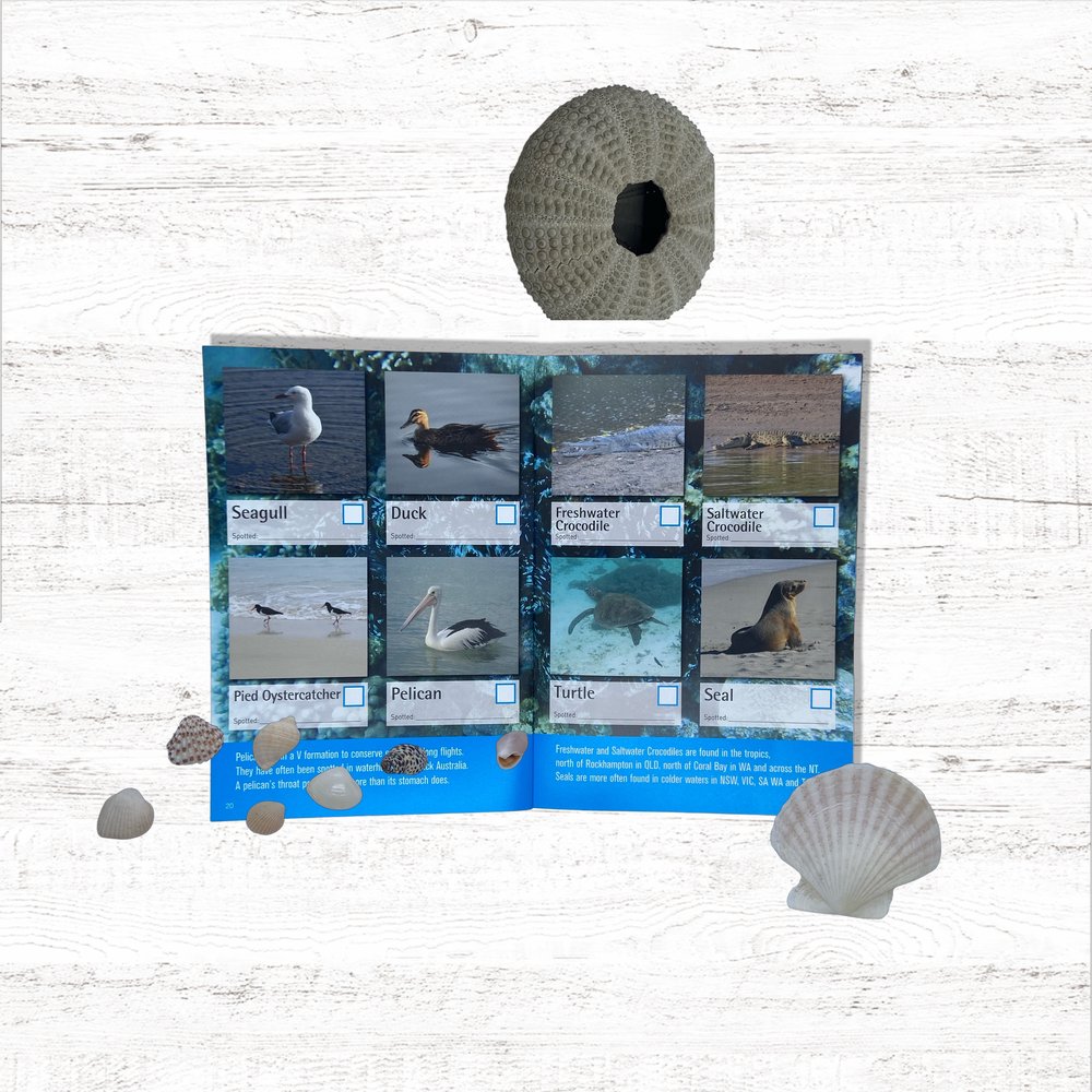 Spotto Books | Coastal