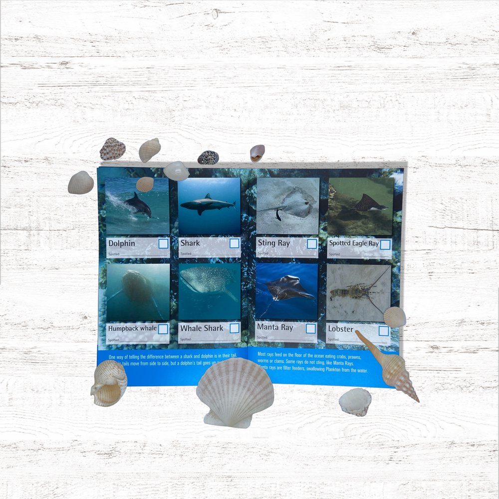 Spotto Books | Coastal