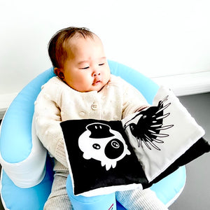 Baby's First Soft Book