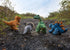 brown t-rex, grey triceratops, green brontosaurus and blue stegosaurus in a line outside on grey rocks with greenery on the edge of the track