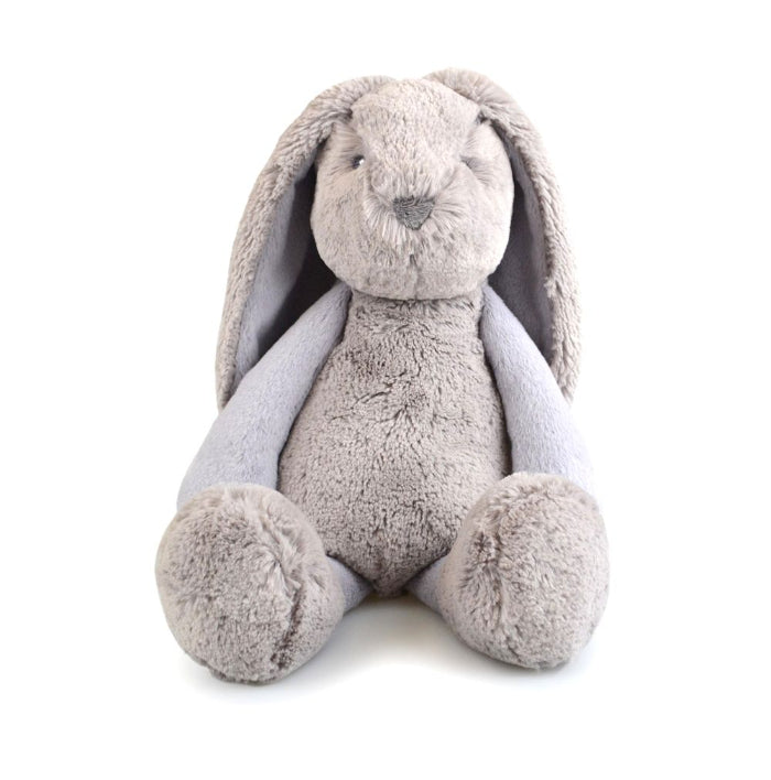 grey frankie bunny sitting on white background
