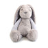 grey frankie bunny sitting on white background