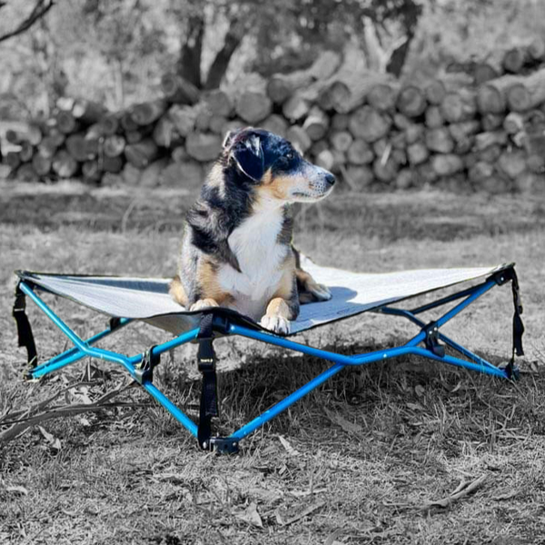Camping dog bed australia online