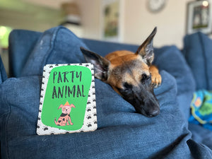 Cheeky Caption Cards | Dog Edition