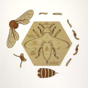 Busy Bee Puzzle by Stuka Puka