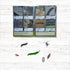 Spotto Books | Camping
