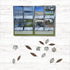 Spotto Books | Camping