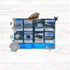 Spotto Books | Coastal