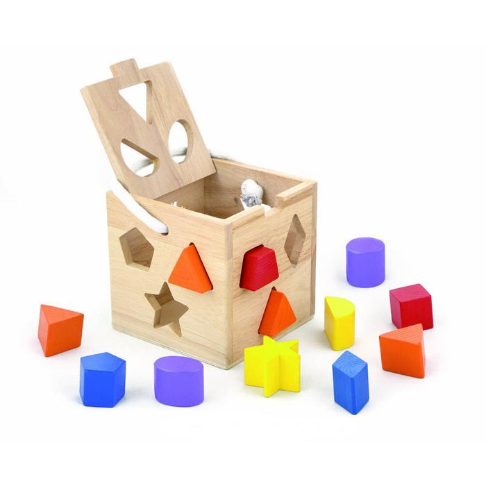 Shape shop sorting cube