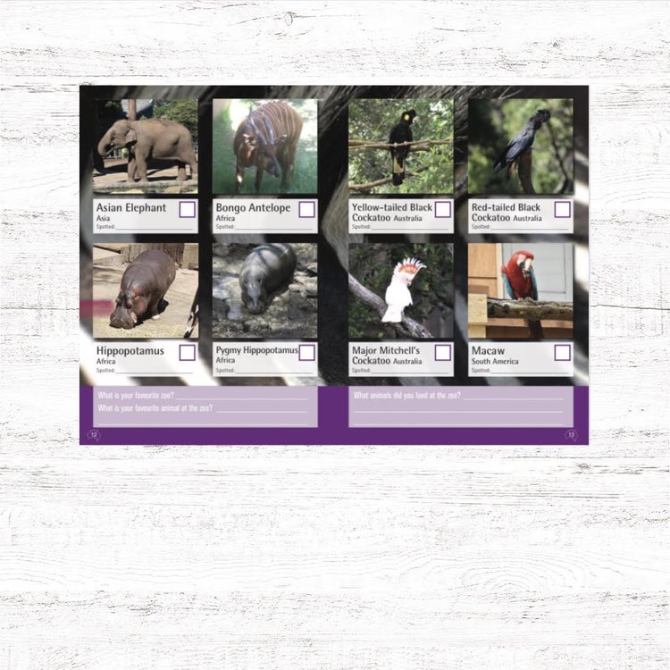 Spotto Books | Zoo