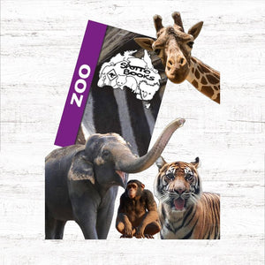 Spotto Books - Zoo
