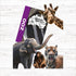 Spotto Books | Zoo