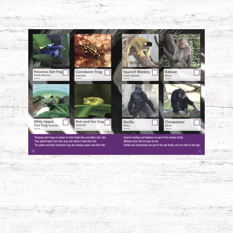 Spotto Books | Zoo