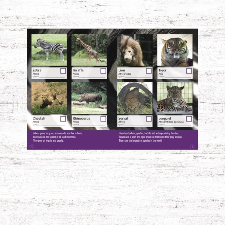 Spotto Books | Zoo